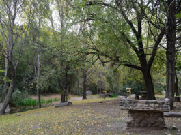 La Rancherita: invitan a una jornada para conocer especies exóticas invasoras que afectan los ambientes