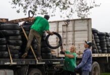 Santa Ana: la Municipalidad retiró de circulación 3856 kilos de neumáticos para volcarlos a la economía circular