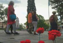 Una nueva «Ronda de la Memoria» homenajeará a Madres y Abuelas en la Plaza Solares