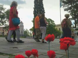 Una nueva «Ronda de la Memoria» homenajeará a Madres y Abuelas en la Plaza Solares
