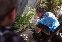 Confirmaron un caso importado de chikungunya en Malagueño y ya son ocho los reportados en la provincia