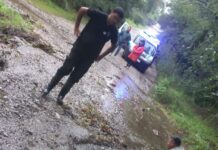 Fuertes lluvias: la Municipalidad extrajo árboles caídos y trabaja en la desobstrucción de un vado