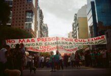 Córdoba vuelve a marchar por la despenalización del uso de cannabis y en contra de la criminalización de cultivadores