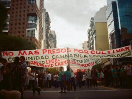 Córdoba vuelve a marchar por la despenalización del uso de cannabis y en contra de la criminalización de cultivadores