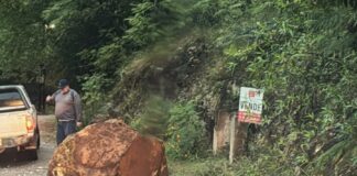 La Paisanita: piden circular con preocupación, tras el desprendimiento de una piedra en La Isla