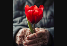 La agrupación “Tulipanes” invita a un encuentro por el Día Mundial del Parkinson en Alta Gracia