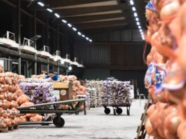El Indec reveló que la inflación mayorista de abril fue del 5,2% y acumuló un 11,6% en el primer cuatrimestre del año