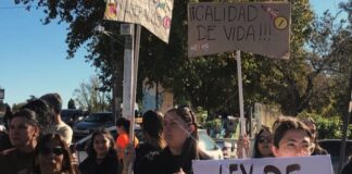 Discapacidad: instituciones, familias y prestadores desfilarán en unidad el 25 de mayo para visibilizar reclamos