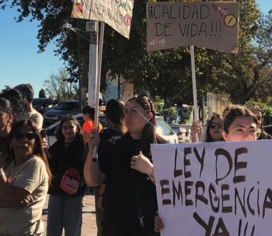 Diputados opositores buscan prorrogar la Emergencia en Discapacidad «que el Gobierno se ocupó de neutralizar»