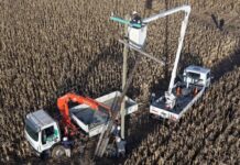 Bajo Chico: colocan «biocrucetas» para modernizar la infraestructura eléctrica y reducir el impacto ambiental