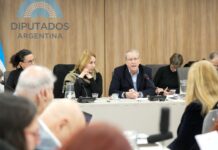 Cuestionaron al director del Incaa en Diputados: «El Gobierno Nacional no tiene proyecto alguno para el sector audiovisual»