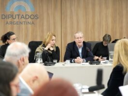 Cuestionaron al director del Incaa en Diputados: «El Gobierno Nacional no tiene proyecto alguno para el sector audiovisual»
