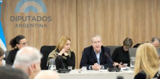 Cuestionaron al director del Incaa en Diputados: «El Gobierno Nacional no tiene proyecto alguno para el sector audiovisual»