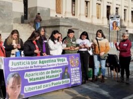 Exigieron justicia por Agostina Vega, la aparición de Delicia Mamani y la libertad de Paola Ortiz