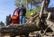 Santa Ana: lanzan programa de reutilización de la poda urbana para compostaje y calefacción de los hogares