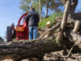 Santa Ana: lanzan programa de reutilización de la poda urbana para compostaje y calefacción de los hogares