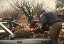 Potrero de Garay: impulsan el reciclado de poda y su reutilización comunitaria