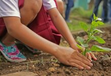 La Municipalidad convoca a proyectos juveniles de acción climática para participar de la «Acción Verde»