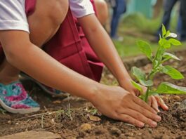 La Municipalidad convoca a proyectos juveniles de acción climática para participar de la «Acción Verde»