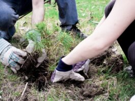 «Acción Verde Alta Gracia»: invitan a una reunión informativa sobre la convocatoria ambiental
