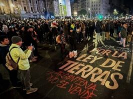 Tres de cada cuatro argentinos rechazan la «extranjerización de la tierra» impulsada por el Gobierno