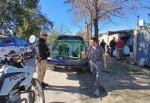 Maltrato: animales fueron rescatados en allanamientos realizados en Villa Camiares y Parque San Juan