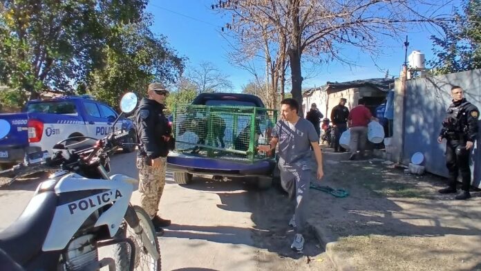 Rescate de animales maltratados (Fundación ADMA) 01
