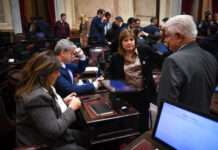 Por falta de apoyo, La Libertad Avanza postergó hasta agosto el debate por la extranjerización de la tierra