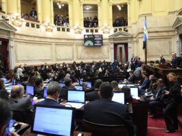 El Gobierno se vio obligado a sacar los cambios en Manejo del Fuego para lograr la media sanción de «propiedad privada»