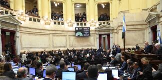 El Gobierno se vio obligado a sacar los cambios en Manejo del Fuego para lograr la media sanción de «propiedad privada»