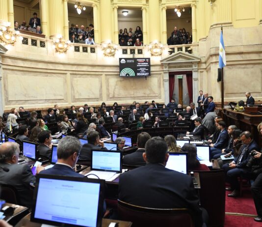 El Gobierno se vio obligado a sacar los cambios en Manejo del Fuego para lograr la media sanción de «propiedad privada»