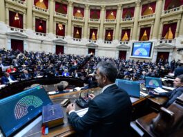 Convocaron a una sesión de Diputados para voltear el DNU 70/23 y prorrogar la emergencia en discapacidad