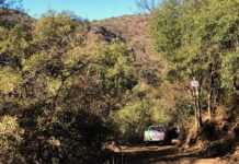 La Paisanita: constataron movimientos de suelo no autorizados en un sector cercano al Curupí