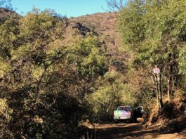 La Paisanita: constataron movimientos de suelo no autorizados en un sector cercano al Curupí
