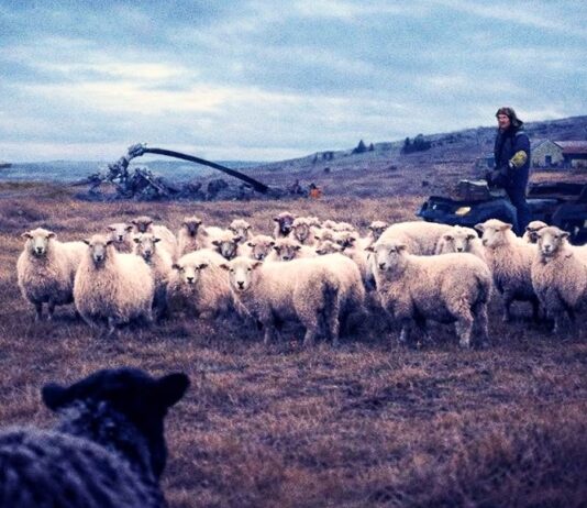 El Cineclub proyectará el documental «Los vencedores», que repasa el viaje de Pablo Aparo a las Malvinas