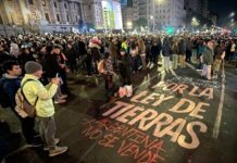 La Corte habilitó el artículo del DNU 70/2023 que deroga la Ley de Tierras y habilita la «extranjerización»