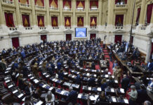 Discapacidad: con numerosos aportes de opositores, Diputados le dio media sanción al proyecto oficialista
