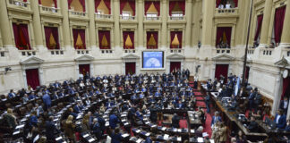 Discapacidad: con numerosos aportes de opositores, Diputados le dio media sanción al proyecto oficialista
