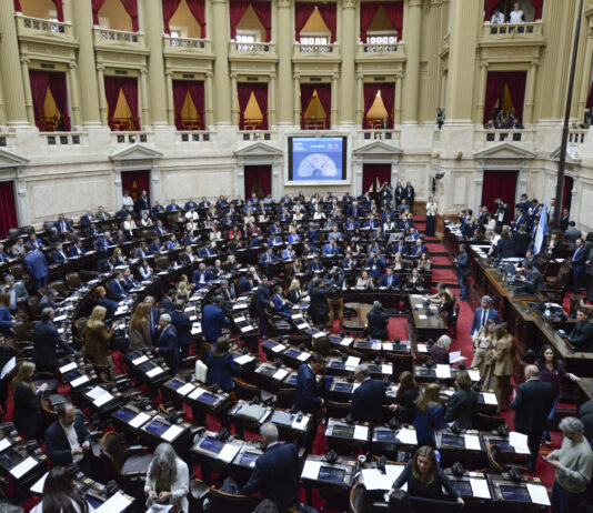 Discapacidad: con numerosos aportes de opositores, Diputados le dio media sanción al proyecto oficialista