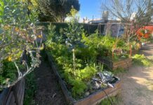 Agroecología: invitan a un Taller de Verano y Compostaje en la Biblioteca Popular Sarmiento