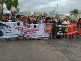 39° Encuentro Plurinacional de Mujeres y Disidencias: una extensa columna marchó por el centro cordobés
