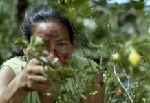 De la Amazonía a Alta Gracia: el realizador Juan Pablo Tobal proyectará «Retazos de la Memoria» en el Cineclub