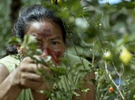 De la Amazonía a Alta Gracia: el realizador Juan Pablo Tobal proyectará «Retazos de la Memoria» en el Cineclub