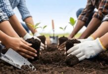 La Municipalidad entregará kits de semilla de huerta para la temporada primavera verano
